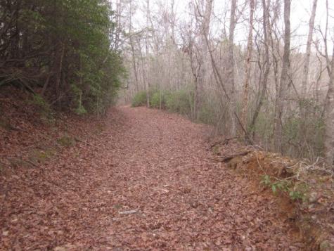 0 Sparks Way Talking Rock GA 30175