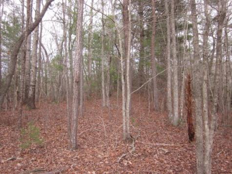 0 Sparks Way Talking Rock GA 30175