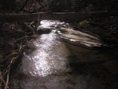 0 Sparks Way Talking Rock GA 30175