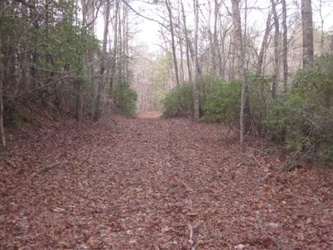 0 Sparks Way Talking Rock GA 30175