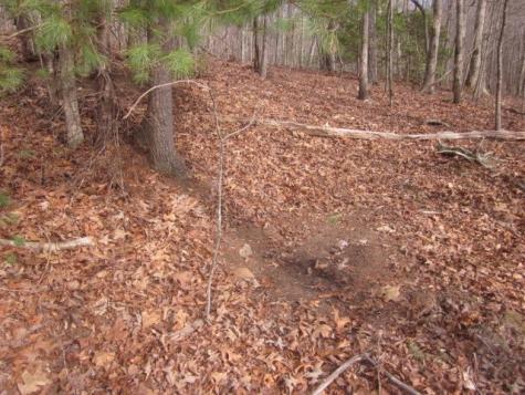 0 Sparks Way Talking Rock GA 30175