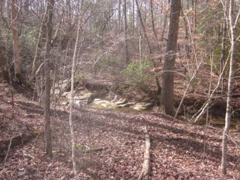 0 Sparks Way Talking Rock GA 30175