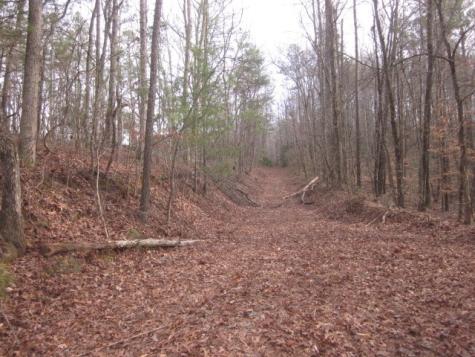 0 Sparks Way Talking Rock GA 30175