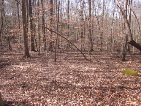 0 Sparks Way Talking Rock GA 30175