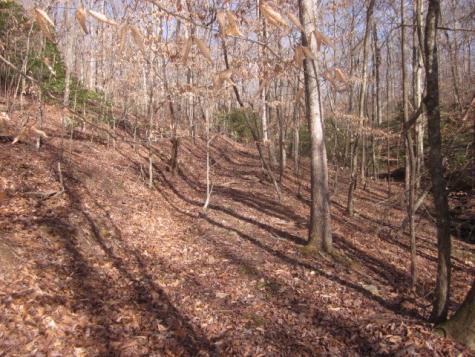0 Sparks Way Talking Rock GA 30175