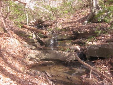 0 Sparks Way Talking Rock GA 30175