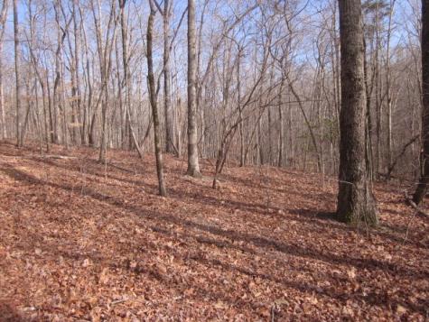 0 Sparks Way Talking Rock GA 30175