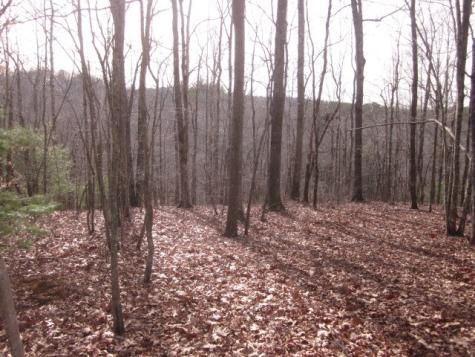 0 Sparks Way Talking Rock GA 30175