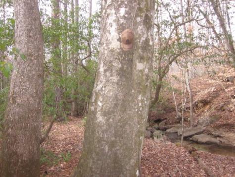 0 Sparks Way Talking Rock GA 30175