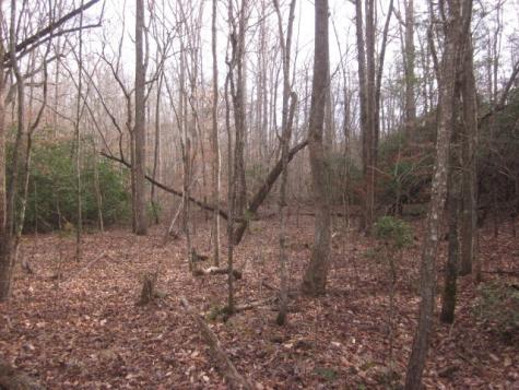 0 Sparks Way Talking Rock GA 30175