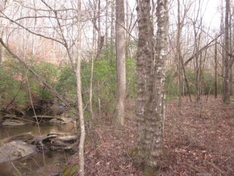 0 Sparks Way Talking Rock GA 30175