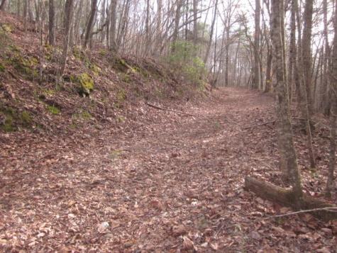 0 Sparks Way Talking Rock GA 30175