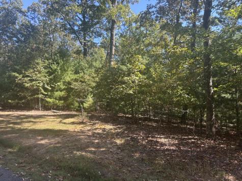 Lt 46 Lola Mae Way Morganton GA 30560