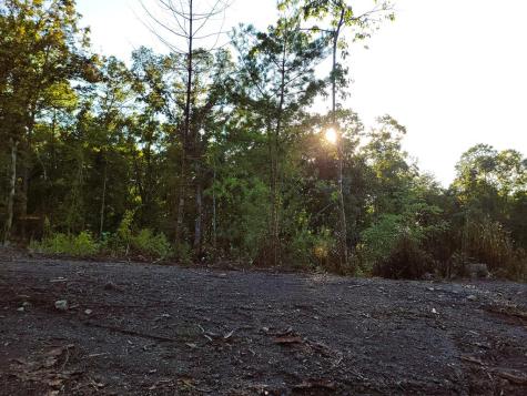 Tract 2 Old Northcutt Road Ellijay GA 30540