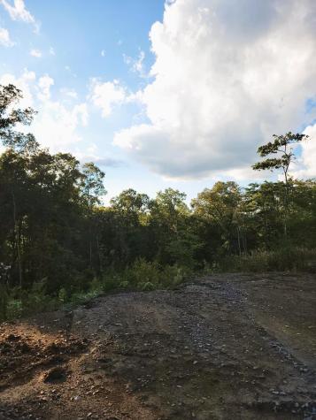 Tract 2 Old Northcutt Road Ellijay GA 30540