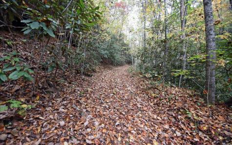 Tbd Mclean Road Andrews NC 28901