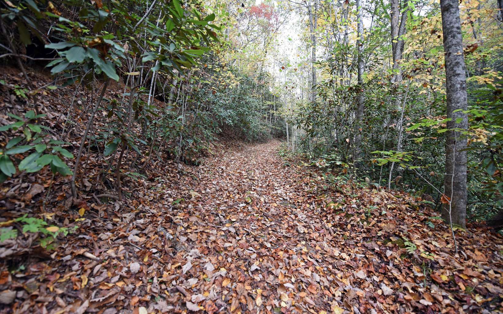 Tbd Mclean Road Andrews NC 28901