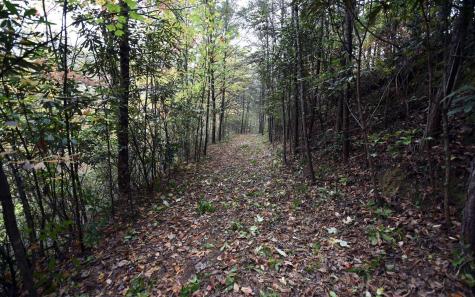 Tbd Mclean Road Andrews NC 28901