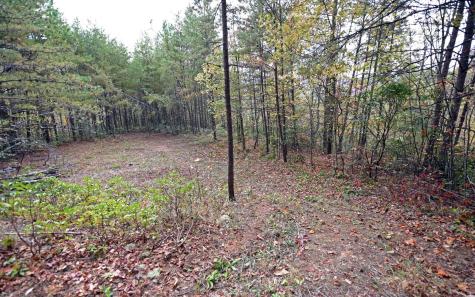 Tbd Mclean Road Andrews NC 28901