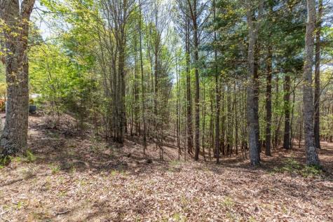 Lot 253 The Cove @ 1300 Blairsville GA 30512