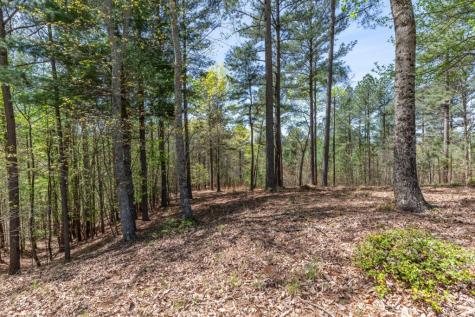 Lot 253 The Cove @ 1300 Blairsville GA 30512