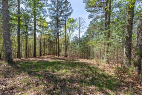 Lot 253 The Cove @ 1300 Blairsville GA 30512
