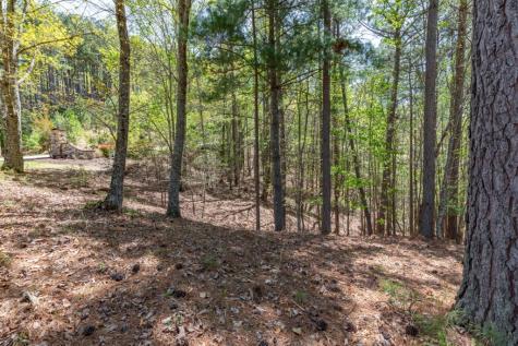 Lot 253 The Cove @ 1300 Blairsville GA 30512