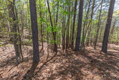 Lot 253 The Cove @ 1300 Blairsville GA 30512
