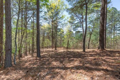 Lot 253 The Cove @ 1300 Blairsville GA 30512