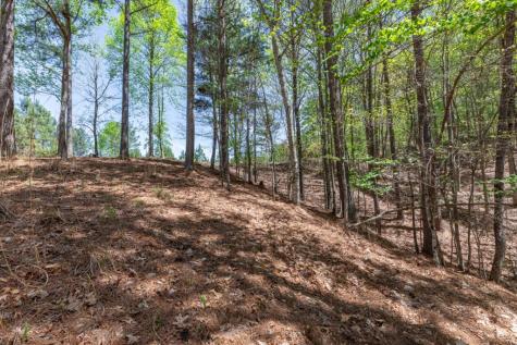 Lot 253 The Cove @ 1300 Blairsville GA 30512