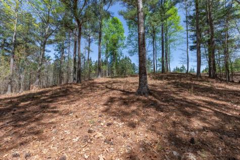 Lot 253 The Cove @ 1300 Blairsville GA 30512