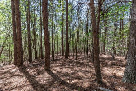 Lot 253 The Cove @ 1300 Blairsville GA 30512