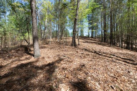 Lot 253 The Cove @ 1300 Blairsville GA 30512