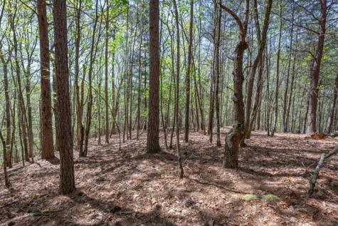 Lot 253 The Cove @ 1300 Blairsville GA 30512