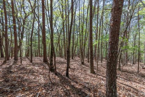 Lot 253 The Cove @ 1300 Blairsville GA 30512