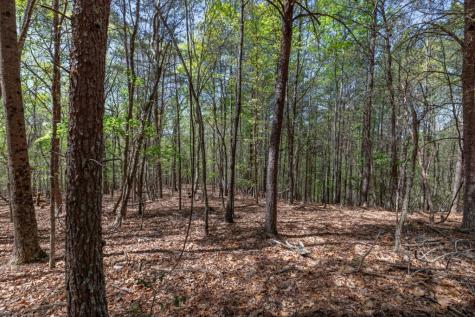 Lot 253 The Cove @ 1300 Blairsville GA 30512