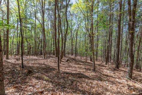 Lot 253 The Cove @ 1300 Blairsville GA 30512