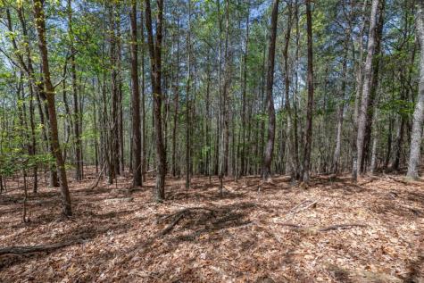 Lot 253 The Cove @ 1300 Blairsville GA 30512