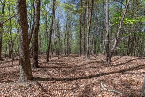 Lot 253 The Cove @ 1300 Blairsville GA 30512