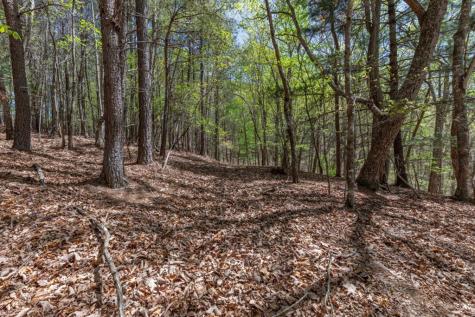 Lot 253 The Cove @ 1300 Blairsville GA 30512