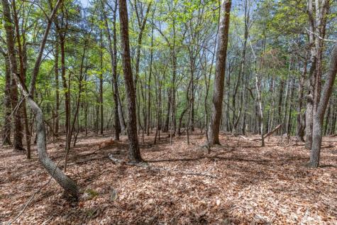 Lot 253 The Cove @ 1300 Blairsville GA 30512