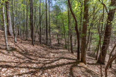 Lot 253 The Cove @ 1300 Blairsville GA 30512