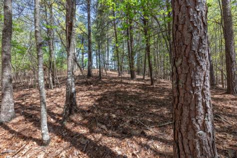 Lot 253 The Cove @ 1300 Blairsville GA 30512