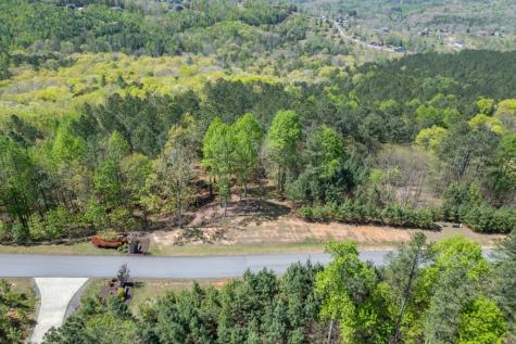 Lot 253 The Cove @ 1300 Blairsville GA 30512