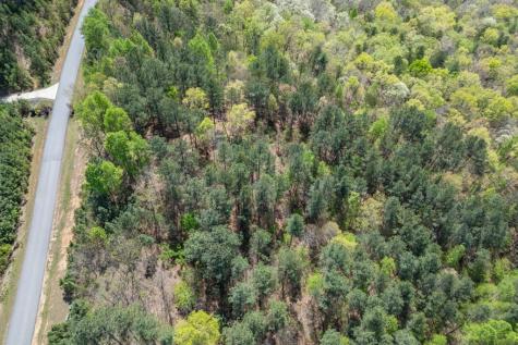 Lot 253 The Cove @ 1300 Blairsville GA 30512