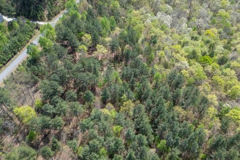 Lot 253 The Cove @ 1300 Blairsville GA 30512