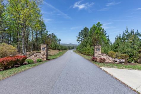 Lot 253 The Cove @ 1300 Blairsville GA 30512