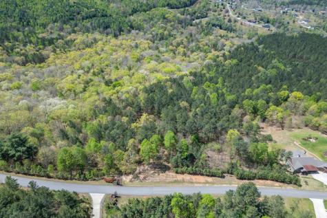 Lot 253 The Cove @ 1300 Blairsville GA 30512