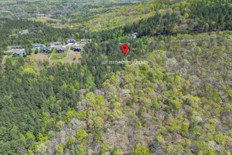 Lot 253 The Cove @ 1300 Blairsville GA 30512