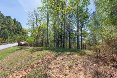 Lot 253 The Cove @ 1300 Blairsville GA 30512